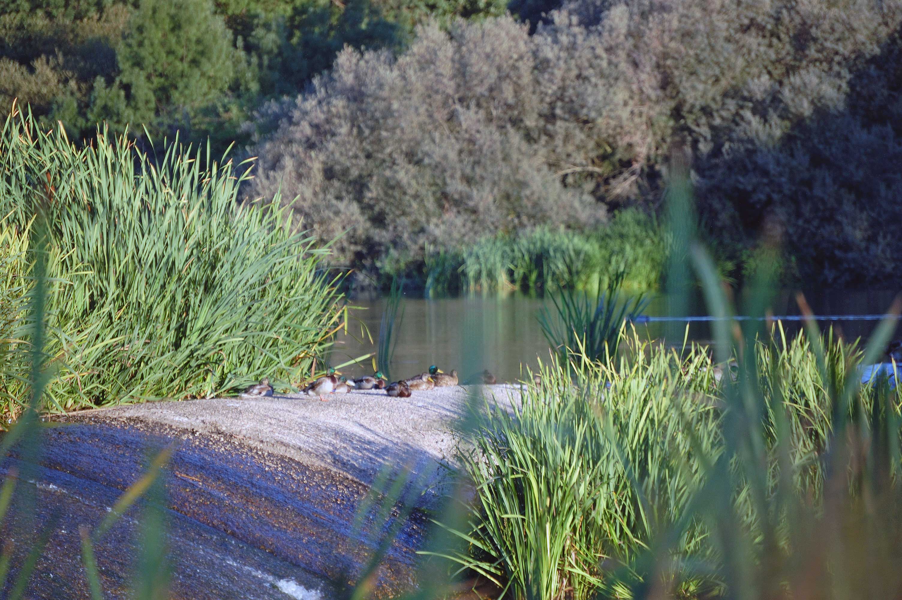 Un agradable paseo y mucho más.