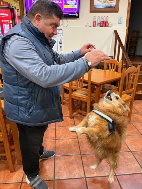 SUNNY UNA FUENTE DE ALEGRÍA Y COMPAÑÍA PARA LA FAMILIA DE PEDRO Y MARISOL.