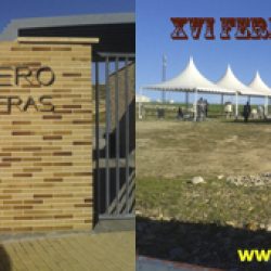 XVI FERIA DE LA PIEDRA: Día 3