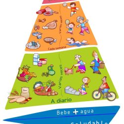 La alimentación no es la misma en todas las etapas de la vida