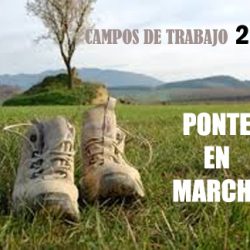 Programa «CAMPOS DE TRABAJO 2016» de la Junta de Castilla y León