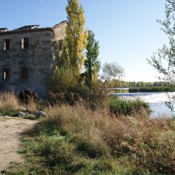 Programa Mixto de Formación y Empleo «Paseo Fluvial y Jardines de Villamayor»