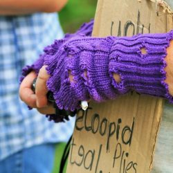 La celebración de la Semana Europea de la Pobreza Energética.