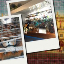 De ruta por Salamanca: qué hacer, qué comer y qué visitar en la última ciudad ‘cool’